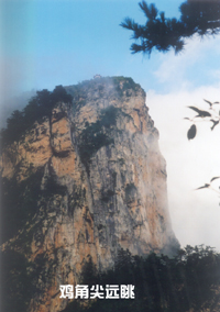 ����ԭ��һ�塱������Ͽ�ط�ţɽ���Ǽ�