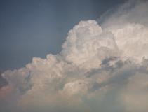 ������·