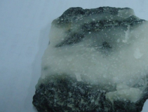 �й����������ķ�չ���ݱ�ʷ