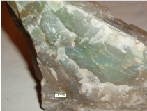 ��ɽ��Ķ�������