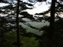 ���������շ�