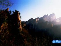 �Ͻ�����̬������