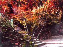 ��ɽ�羰��