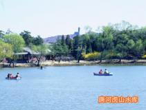 ��ɽ����Ȼ�����ۺ�������