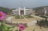 �й��������󡪡�ͩ������