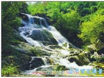 �ٳ�̶�ٲ�Ⱥ