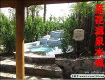 ����������Ȫ