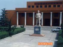 �ŷ�������