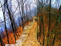 �й�����ĳ��ǡ�������������