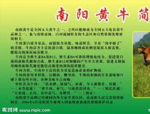 ������ţ