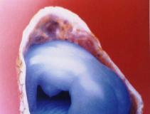 �������ִ����Ļ������ɧ