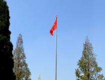 ��̲��ɽ���