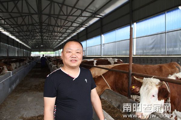 ������Ͷ�ʵ���̩��ţ��ֳ��Ŀ