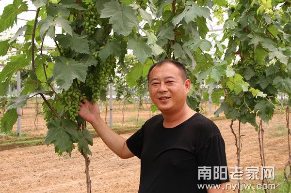 叶军投资的臻田农业开发项目