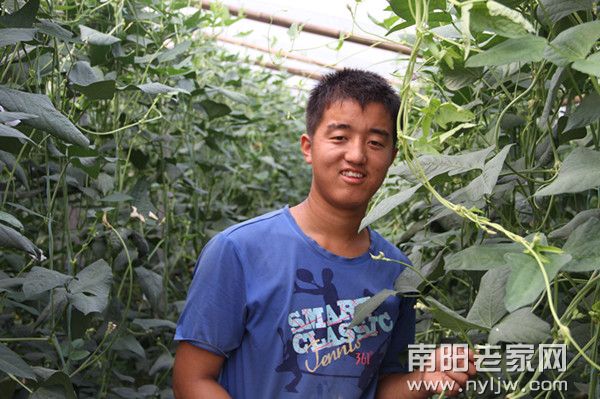 赵迁飞投资的设农蔬菜种植合作社项目