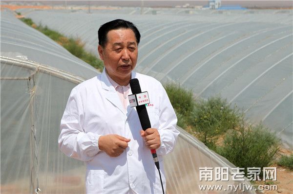 ����ʤ��������ר��ɷ�