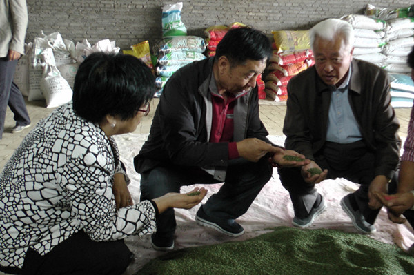 刘锦胜:有机小麦胚芽多肽项目落户社旗