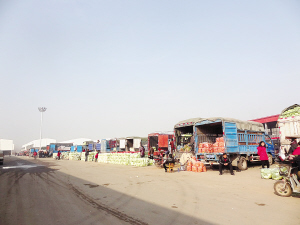 新建成的南阳市中商农产品批发市场。