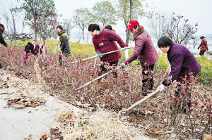 ��ˮ���˶����ĸ����İ׺�̨���ϣ�������Ա���ڳ���ֲ�̡�