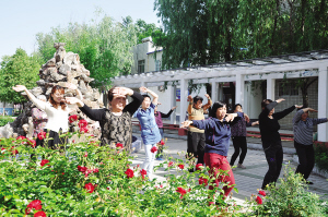 Ť�����ڿ裬������