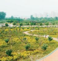 �׺�ʪ�ع�԰ˮ���˶����ľ����������̿�����԰