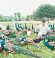 �������ϼ��򣺽���������е��������