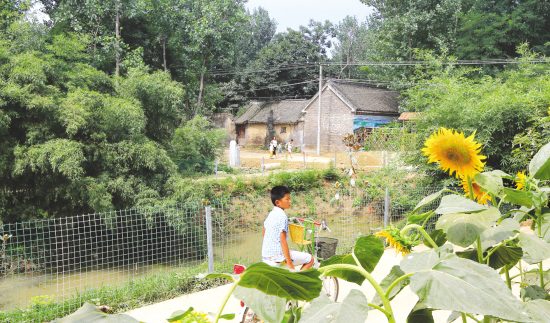 南阳“画家村”