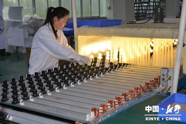 凌峰公司生产线