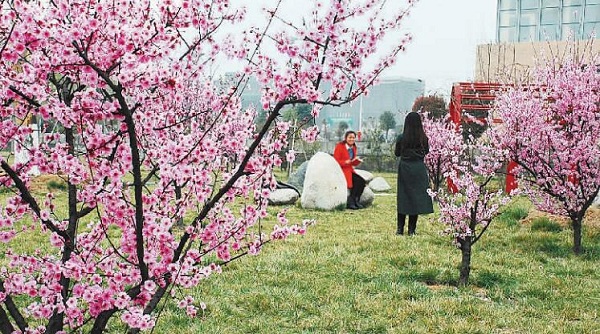 ��������Ƣ�����������顣���գ��������»���������ʦ��ѧԺ���һ�ʢ����ʦ�����ڻ�԰���У԰�ڶ���ѧϰ��ʫ�黭�⣬����������